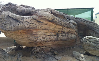 rock design
